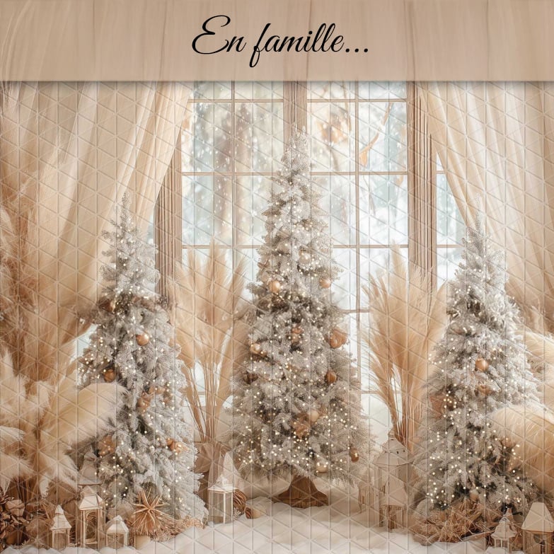 Séance Photo Noël 2025 